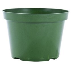 Jardinière en plastique PLP, 8 po, vert